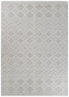 Colorado Chevron Light Grey Outdoor Rug
