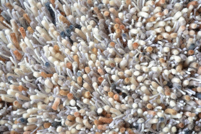 Brink & Campman Young 061801