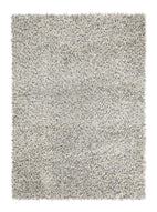 Brink & Campman Young 061804