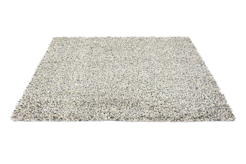 Brink & Campman Young 061804